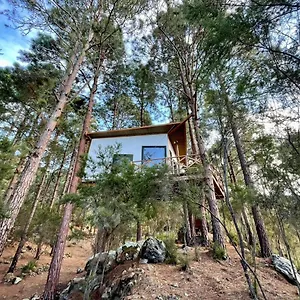 Casita Colgada Lia Сasa de vacaciones